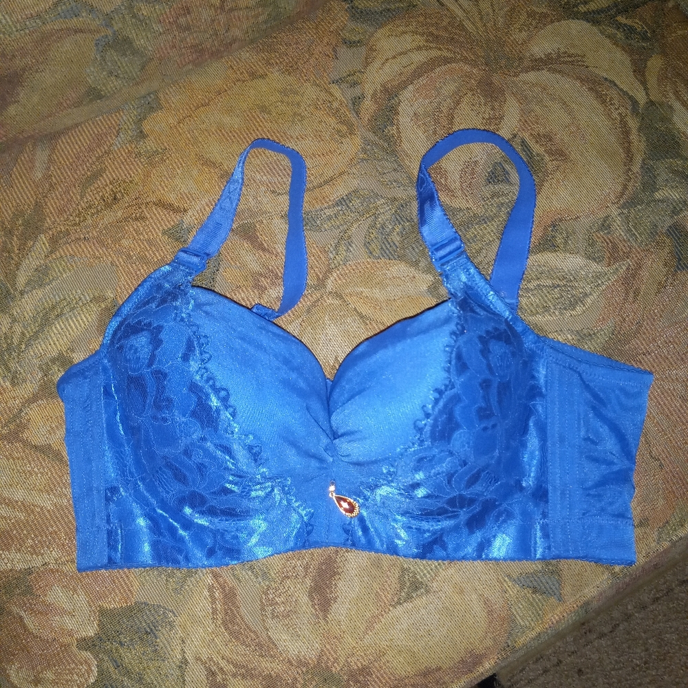 Beautiful Blue Bra